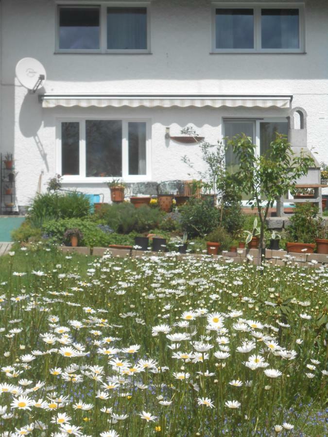 Ferienwohnung Casa Mia Spiegelau Exterior foto